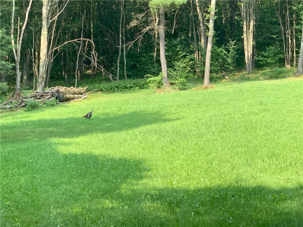 Braehead Road Bloomville, NY 13739 - Photo 5 of 39