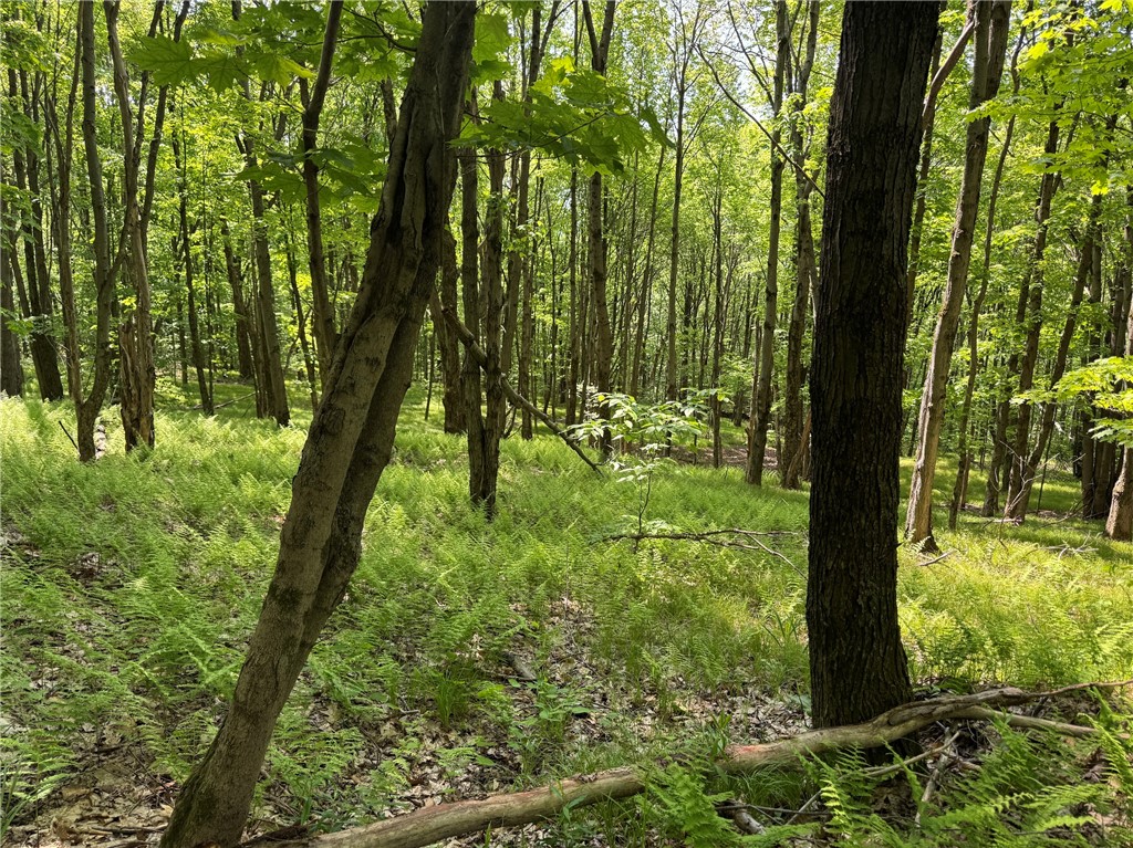 Braehead Road Bloomville, NY 13739 - Photo 6 of 39