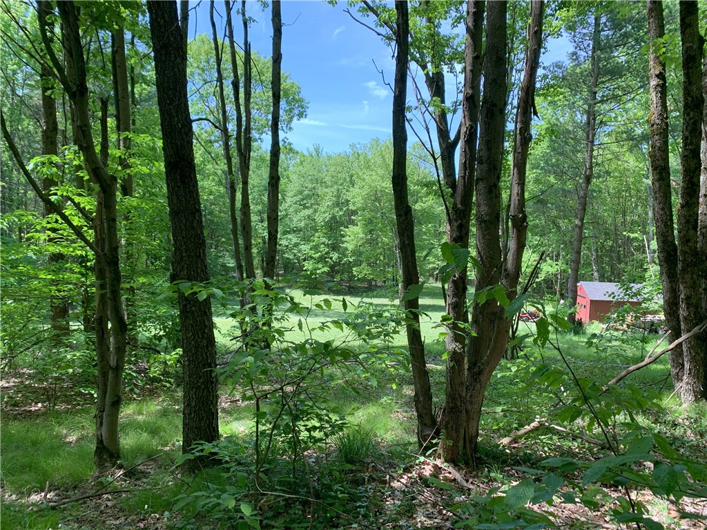 Braehead Road Bloomville, NY 13739 - Photo 8 of 39