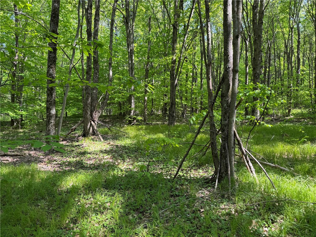 Braehead Road Bloomville, NY 13739 - Photo 10 of 39