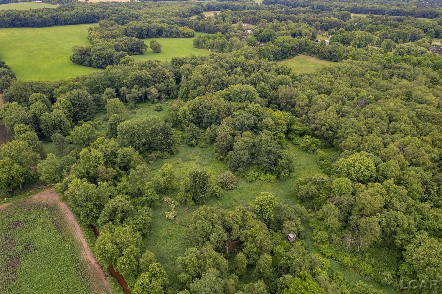 2010 South Kane Road Stockbridge, MI 49285 - Photo 70 of 80