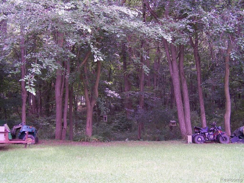 3021 Norton Road Howell, MI 48843 - Photo 5 of 15 Norton 3021 006.JPG