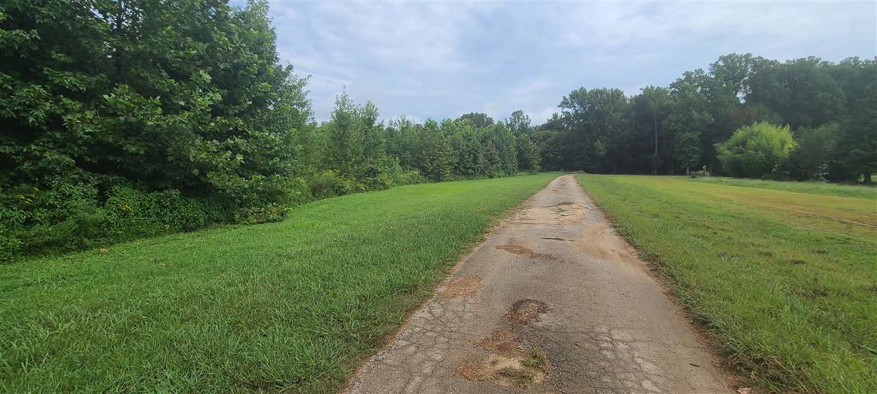 0 Fry Road Road Cedar Grove, TN 38321 - Photo 1 of 20 Gallery Image 1