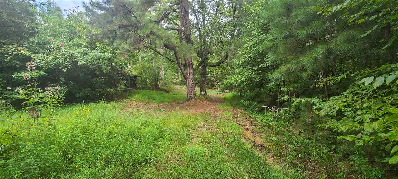 0 Fry Road Road Cedar Grove, TN 38321 - Photo 2 of 20 Gallery Image 2