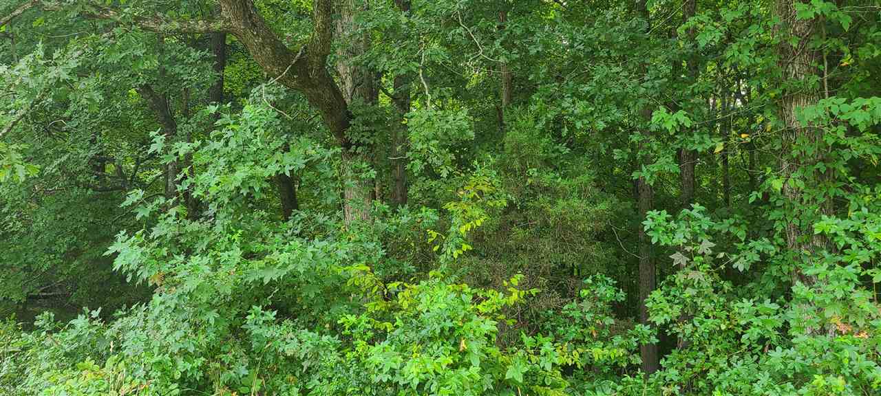 0 Fry Road Road Cedar Grove, TN 38321 - Photo 11 of 20 Gallery Image 11