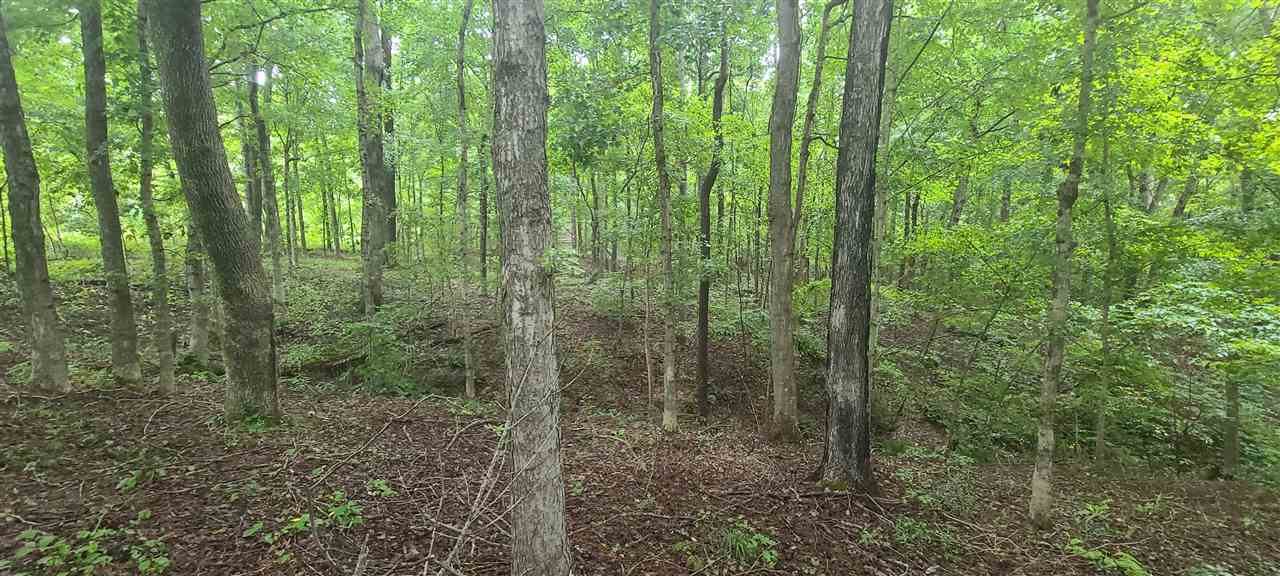 0 Fry Road Road Cedar Grove, TN 38321 - Photo 12 of 20 Gallery Image 12
