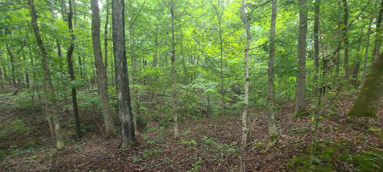 0 Fry Road Road Cedar Grove, TN 38321 - Photo 13 of 20 Gallery Image 13