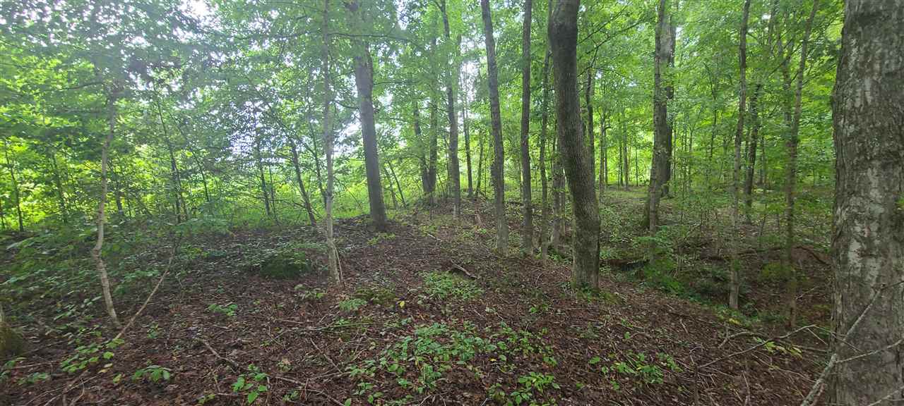 0 Fry Road Road Cedar Grove, TN 38321 - Photo 14 of 20 Gallery Image 14