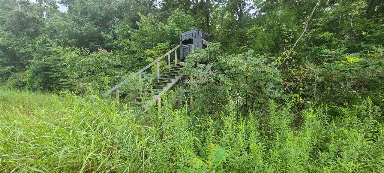 0 Fry Road Road Cedar Grove, TN 38321 - Photo 15 of 20 Gallery Image 15