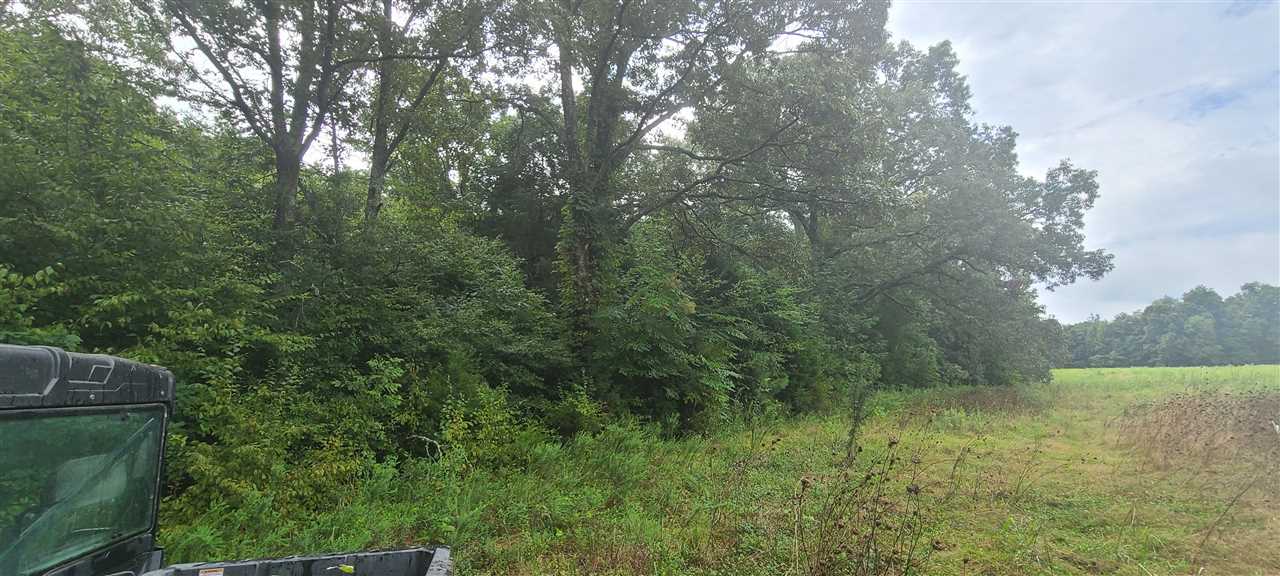 0 Fry Road Road Cedar Grove, TN 38321 - Photo 16 of 20 Gallery Image 16