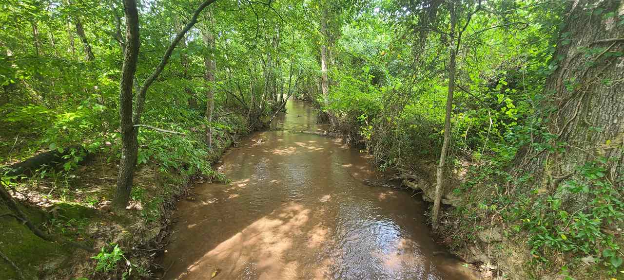 0 Fry Road Road Cedar Grove, TN 38321 - Photo 3 of 20 Gallery Image 3