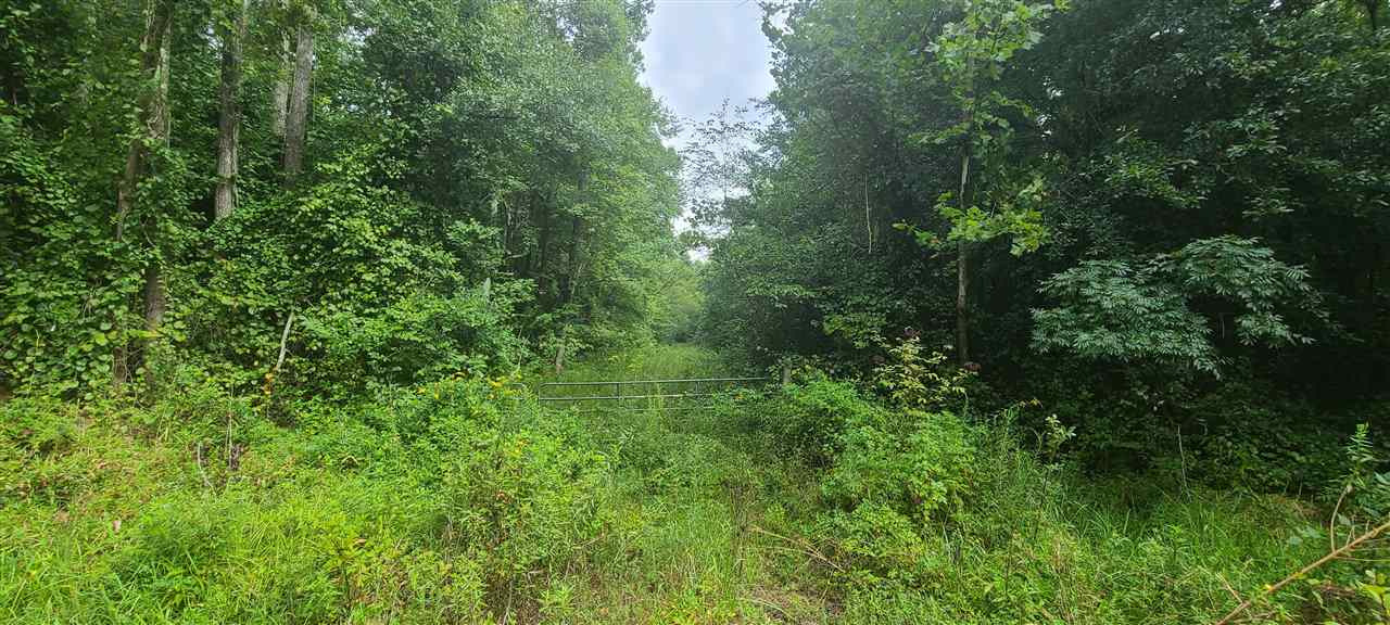 0 Fry Road Road Cedar Grove, TN 38321 - Photo 6 of 20 Gallery Image 6