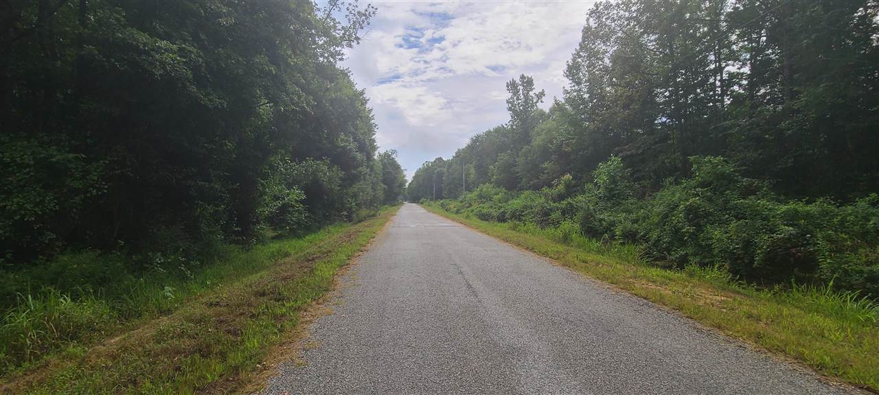 0 Fry Road Road Cedar Grove, TN 38321 - Photo 7 of 20 Gallery Image 7