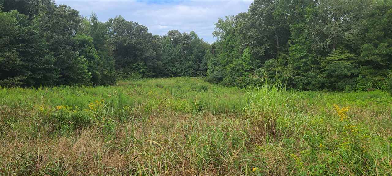 0 Fry Road Road Cedar Grove, TN 38321 - Photo 8 of 20 Gallery Image 8