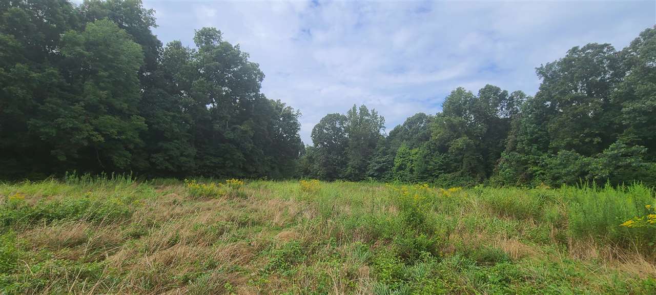 0 Fry Road Road Cedar Grove, TN 38321 - Photo 10 of 20 Gallery Image 10