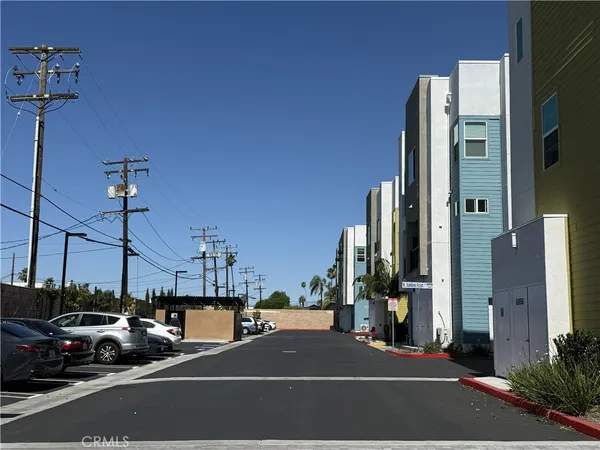 a living room with a couch and a potted plant