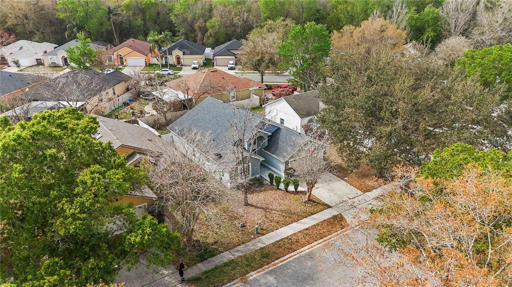 1647 Riveredge Road Oviedo, FL 32766 - Photo 25 of 28 a view of a tree in a yard