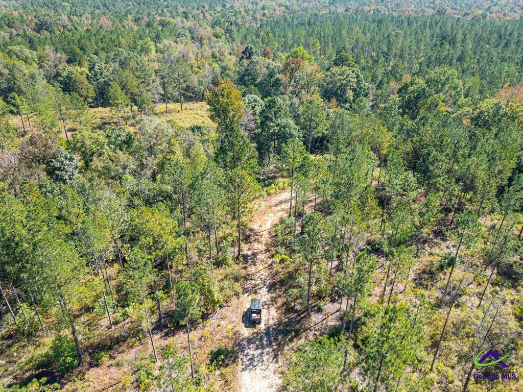 Ohp Dominy Road Toomsboro, GA 31090 - Photo 19 of 24