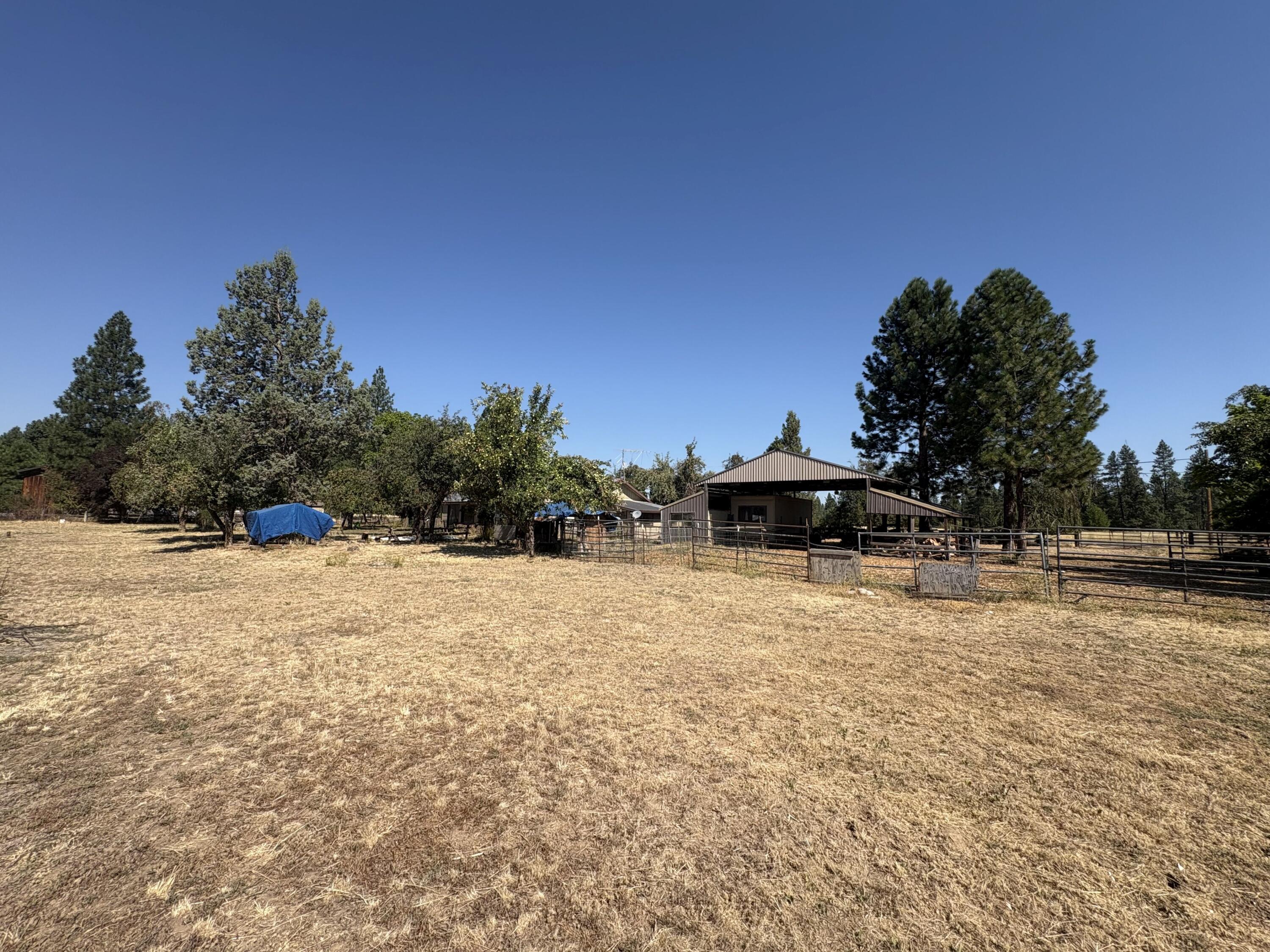 41195 Brown Road Fall River Mills, CA 96028 - Photo 3 of 17 a backyard of a house with table and chairs