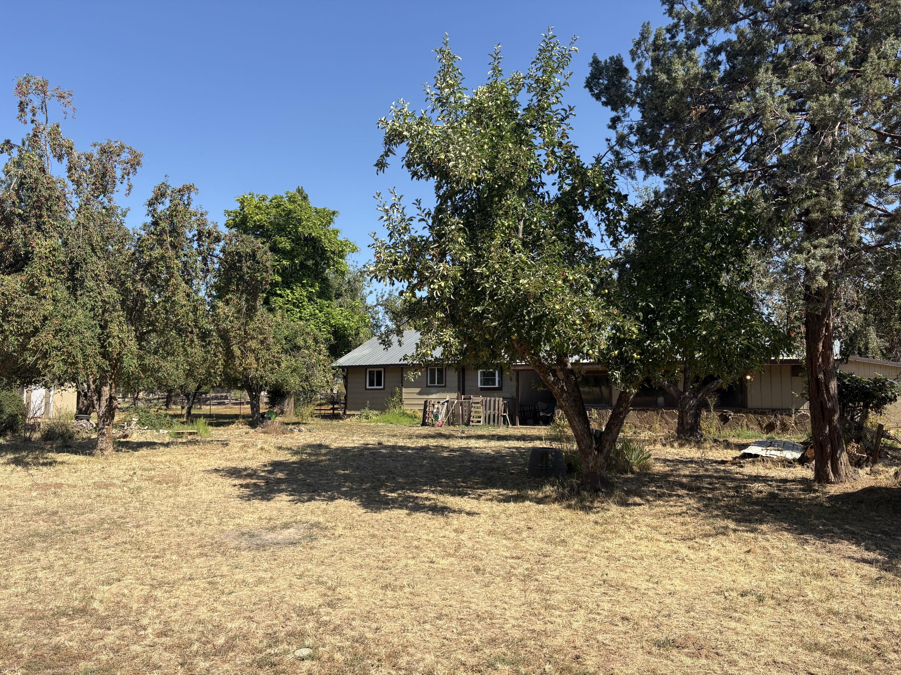 41195 Brown Road Fall River Mills, CA 96028 - Photo 4 of 17 a view of road with large trees