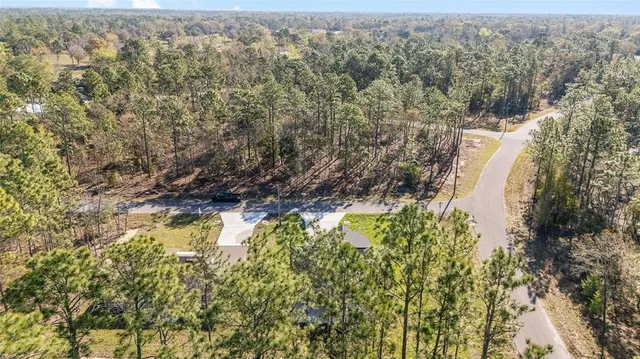 a view of a yard with large trees