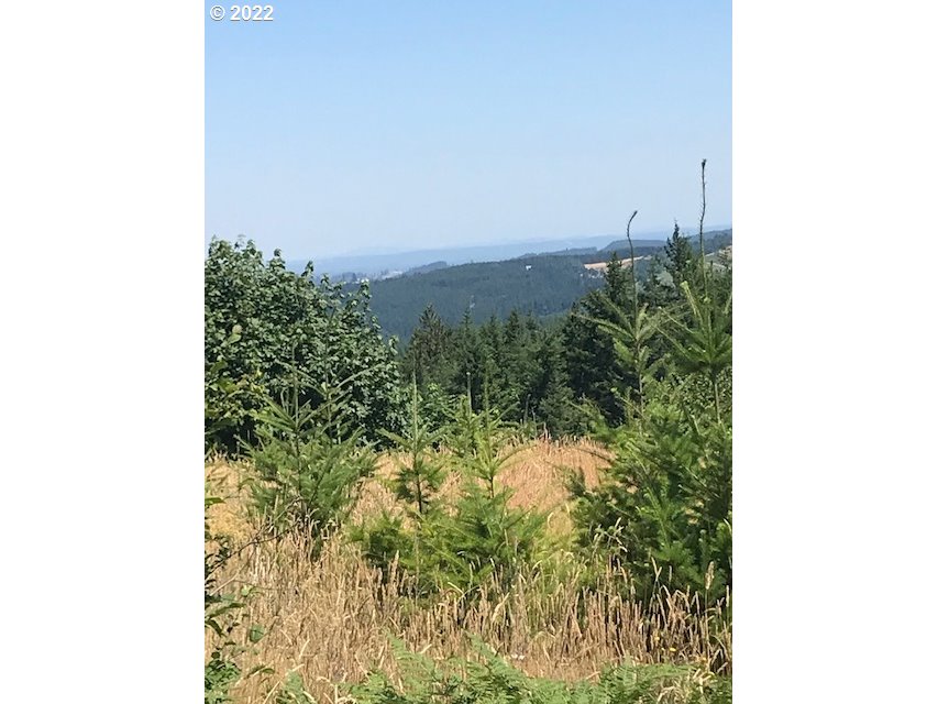 0 Powers Creek Road Silverton, OR 97381 - Photo 1 of 7 Gallery Image 1