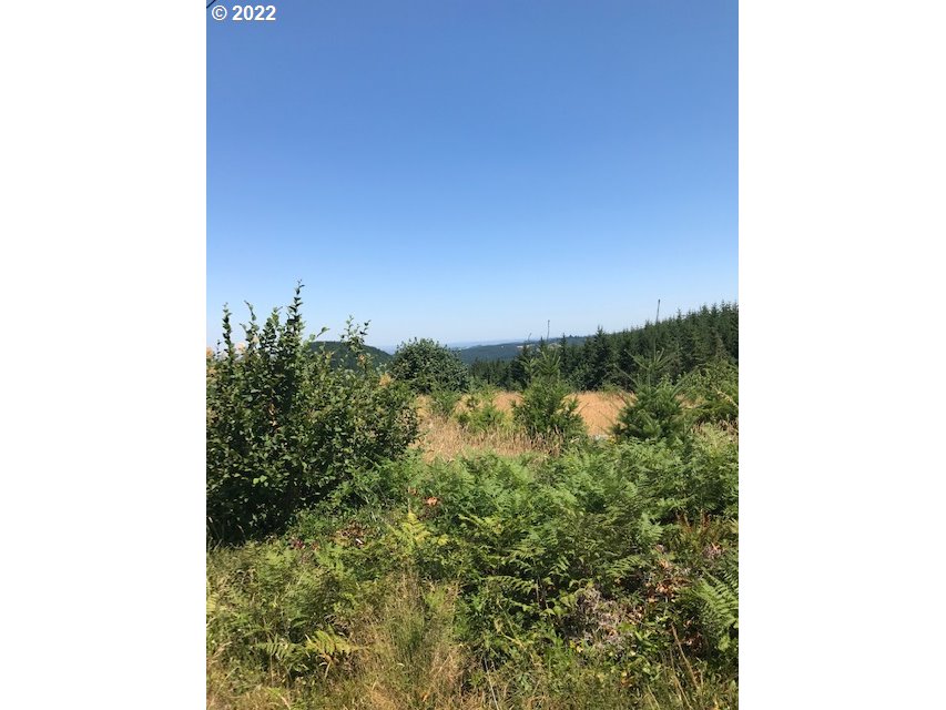 0 Powers Creek Road Silverton, OR 97381 - Photo 2 of 7 Gallery Image 2