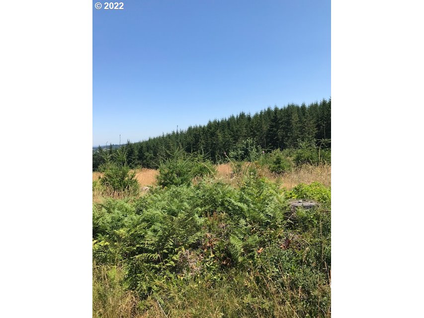 0 Powers Creek Road Silverton, OR 97381 - Photo 3 of 7 Gallery Image 3
