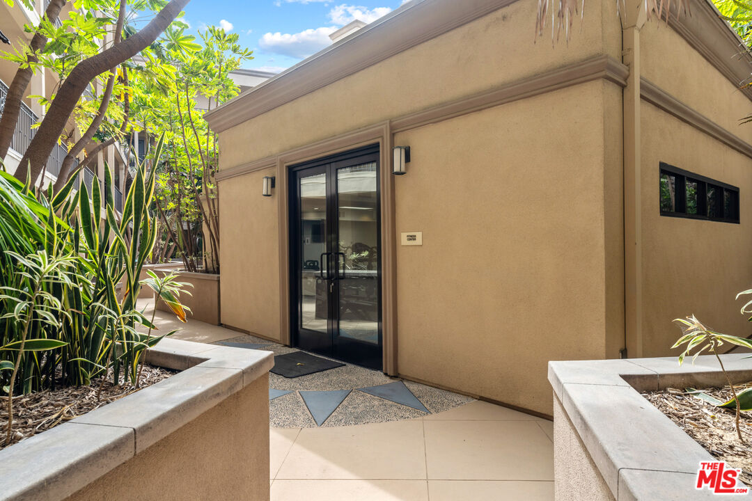 8238 West Manchester Avenue, Unit 204 Playa del Rey, CA 90293 - Photo 18 of 23 a potted plant sitting in front of a door
