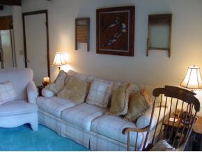 8 A Country Club Road, Unit 1 West Dover, VT 05356 - Photo 3 of 12