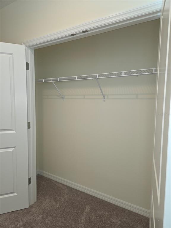 32181 Turtle Grace Loop Wesley Chapel, FL 33545 - Photo 33 of 37 Gallery Image 33