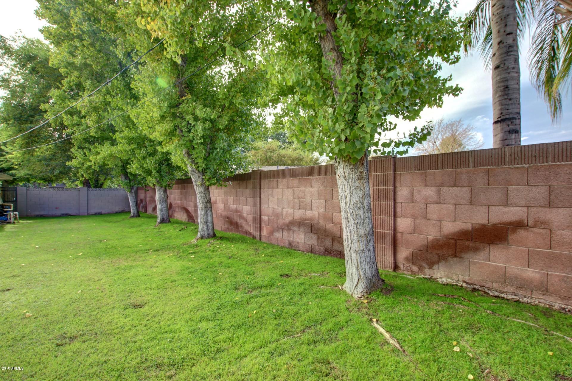 1532 West Loma Lane Phoenix, AZ 85021 - Photo 38 of 46 Loma (11)