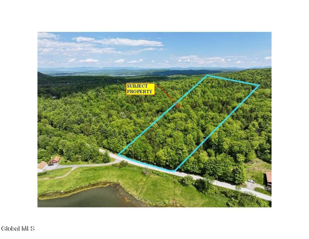 L2 Liddle Harris Road Putnam Station, NY 12861 - Photo 1 of 12 Aerial, View Southeast