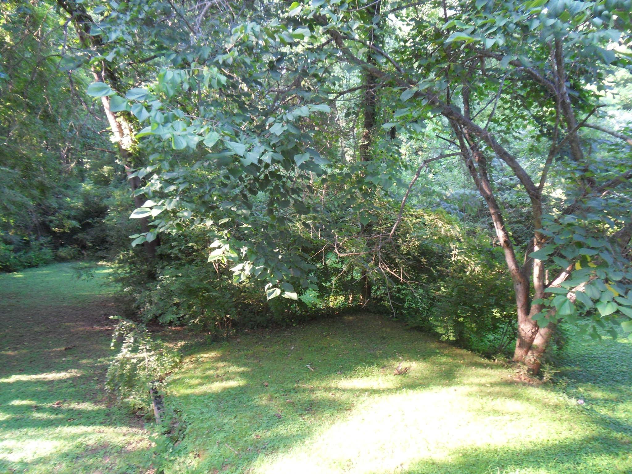 356 West Outer Drive Oak Ridge, TN 37830 - Photo 15 of 19 SDC11162