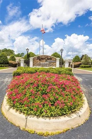 a bunch of flowers and trees