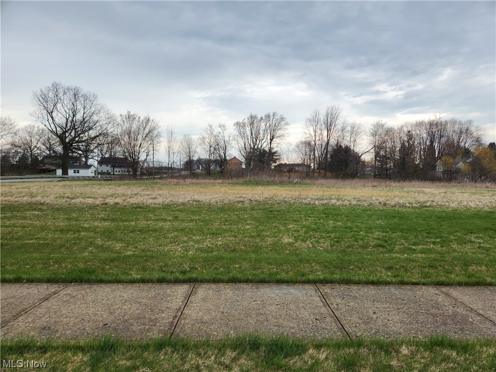 Bender Road North Ridgeville, OH 44039 - Photo 2 of 2