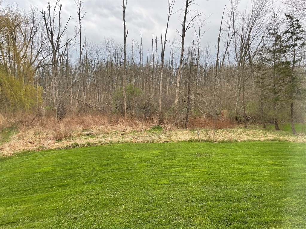 95 Brooks Road Henrietta, NY 14586 - Photo 4 of 18 Back Yard