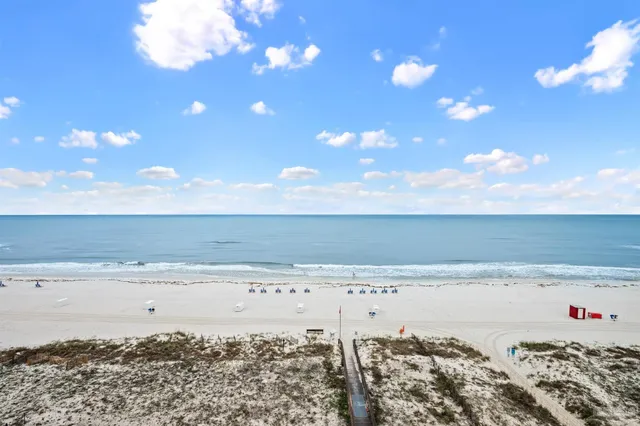 a view of beach and ocean