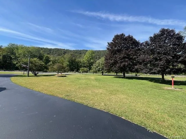 a view of a park with large trees