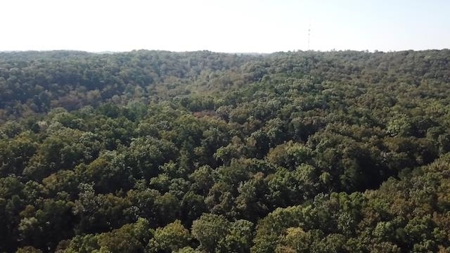 0 Youngs Valley Road Buchanan, GA 30125 - Photo 1 of 1