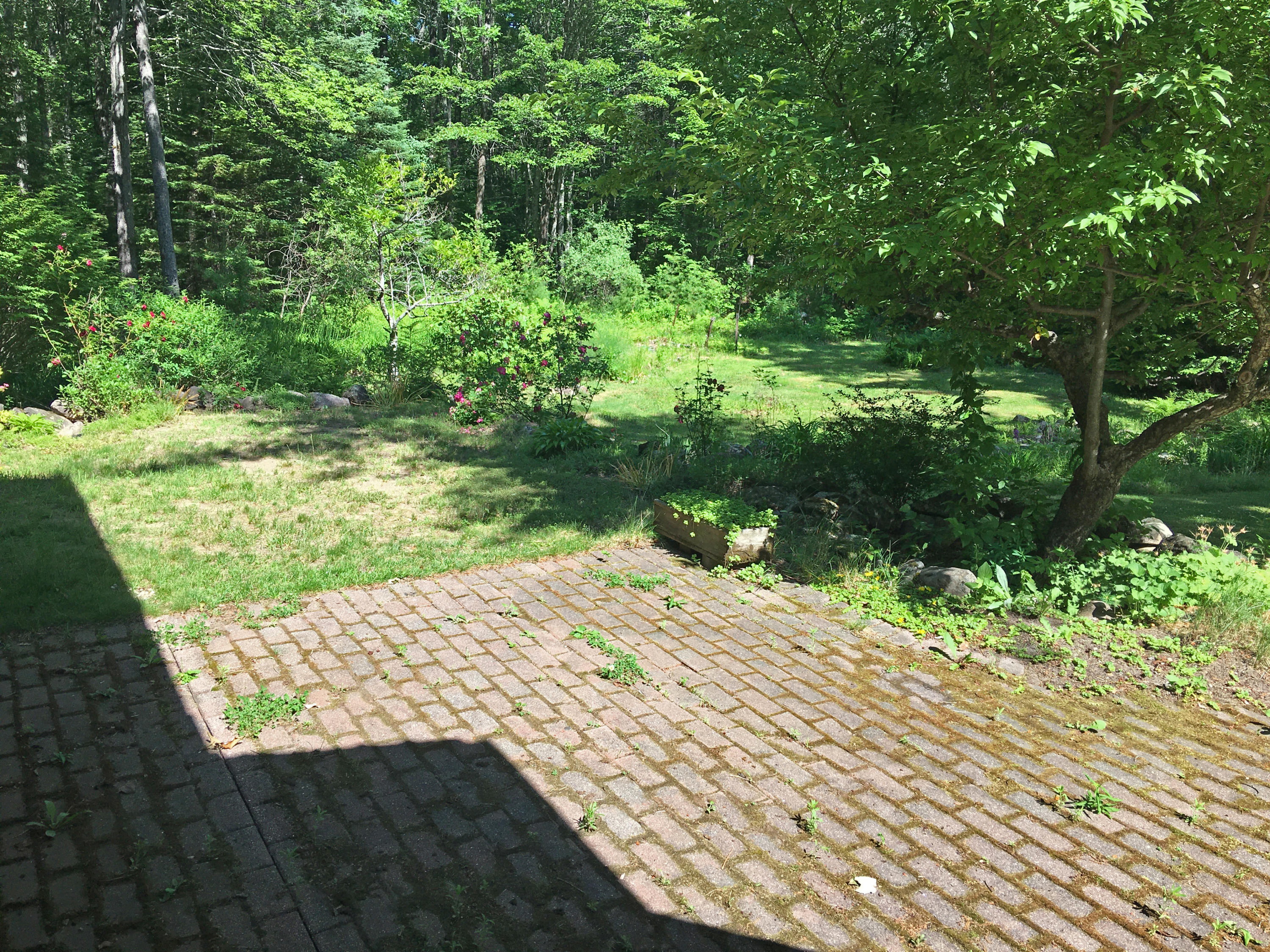 149 Town Farm Road New Gloucester, ME 04260 - Photo 27 of 34 Patio