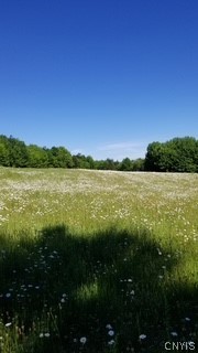 Talbot Road West Winfield, NY 13491 - Photo 2 of 11
