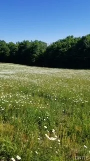 $225,750 | Talbot Road, West Winfield, NY 13491