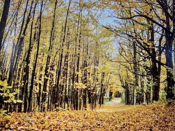 $225,750 | Talbot Road, West Winfield, NY 13491