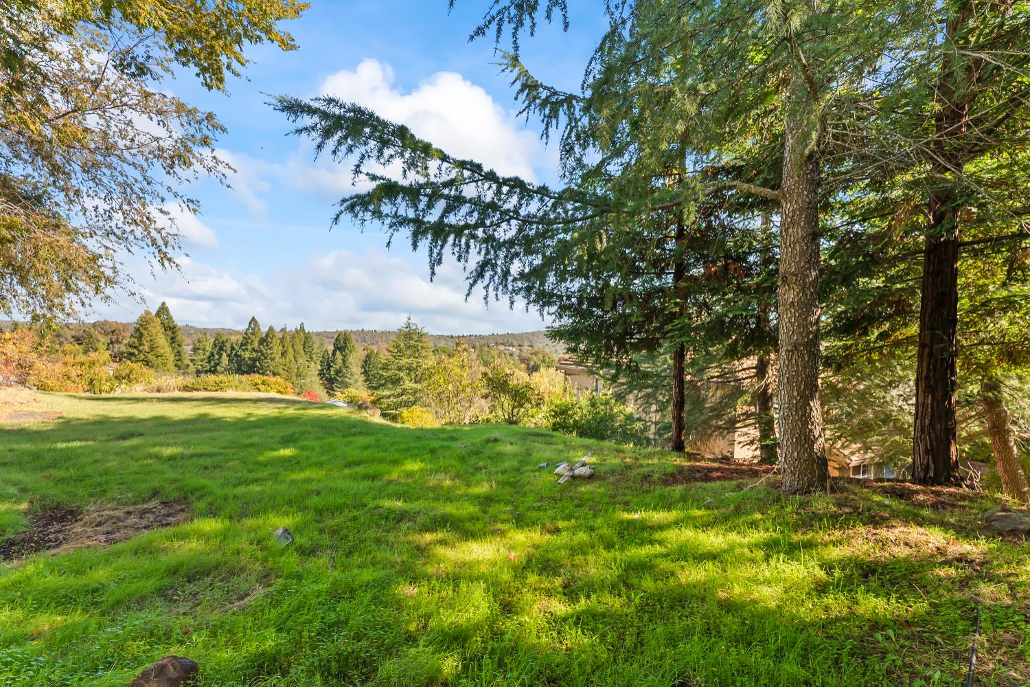 2960 Pasada Road Cameron Park, CA 95682 - Photo 35 of 40 a view of yard with swimming pool