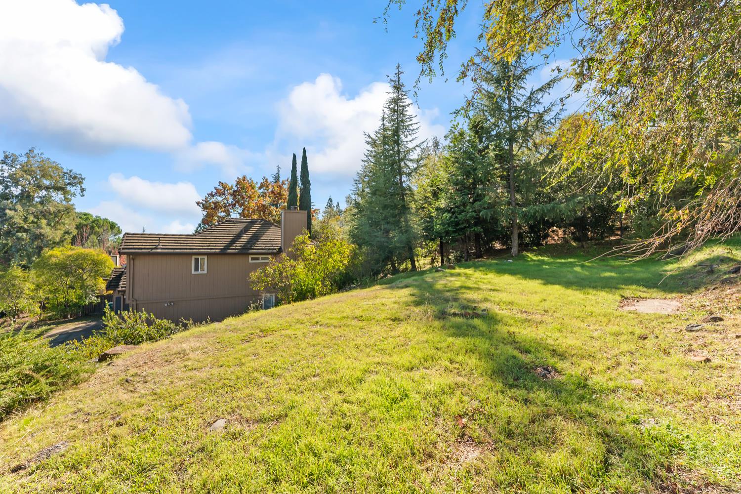 2960 Pasada Road Cameron Park, CA 95682 - Photo 36 of 40 a backyard of a house