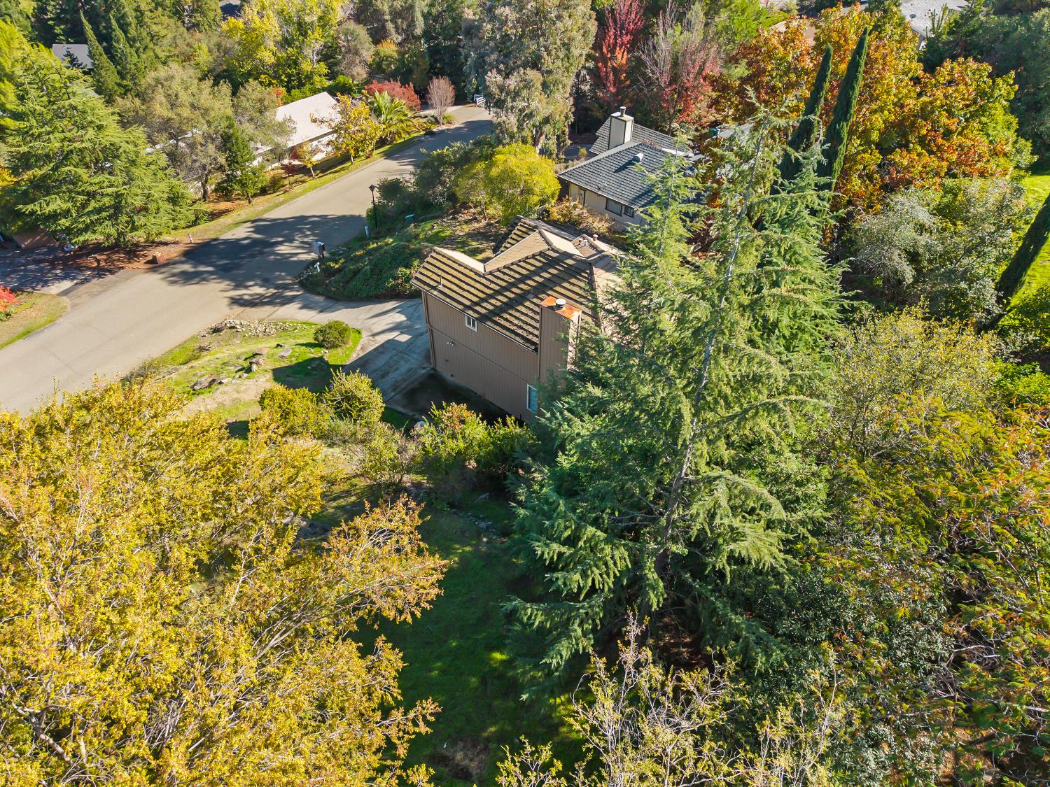 2960 Pasada Road Cameron Park, CA 95682 - Photo 40 of 40 a picture of street view