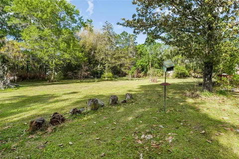 a view of a field with trees