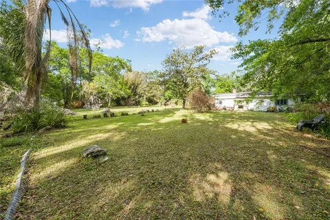 a view of a yard with large trees