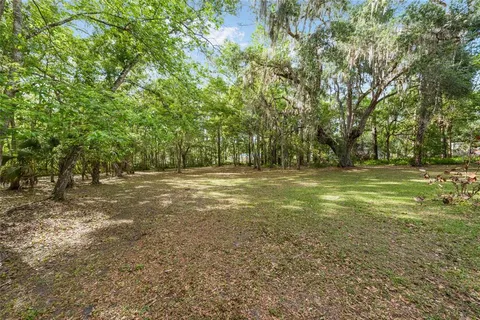 a view of outdoor space with trees all around